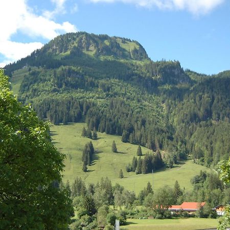 Ferienwohnung Mit Balkon I Bergblick I Parkplatz Apartment One Bad Hindelang Exterior photo